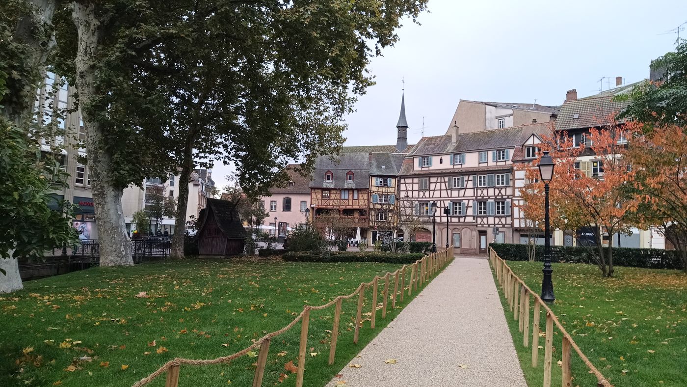 Un peu de verdure en ville