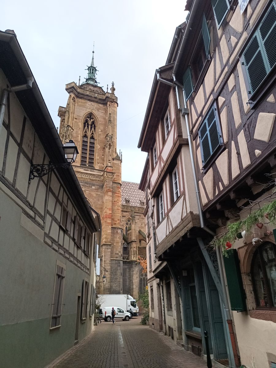 Vu sur la Collégiale Saint-Martin de Colmar