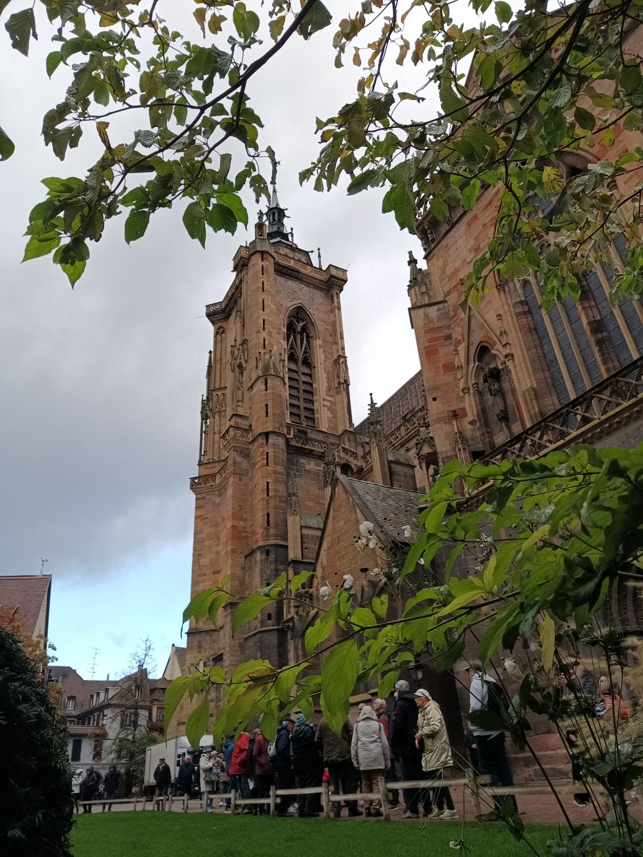 Collégiale Saint-Martin de Colmar