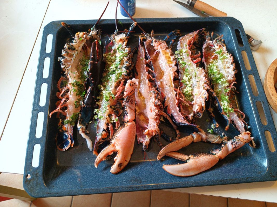 Les homards prêt pour la cuisson