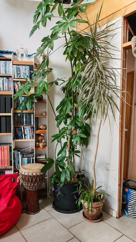 Le moche et trop petit pot en terre à moitié moisis