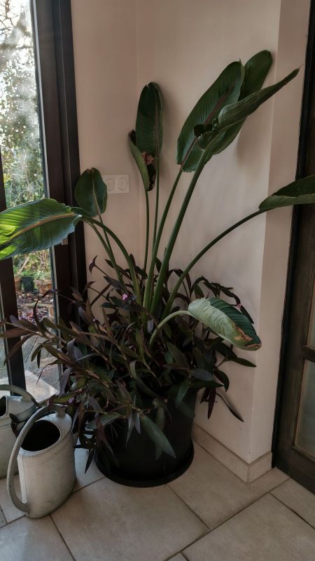 Elles aussi sont en pleine forme !