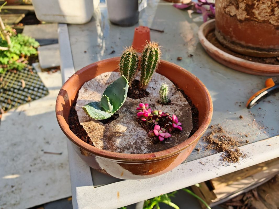 Les plantes sorte de la feutrine (pour pouvoir refaire quand les plantes grossirons)