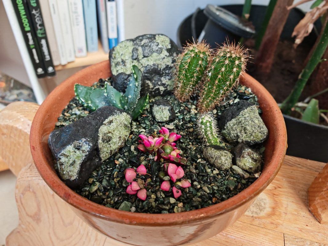 C'est pas jolie ça !