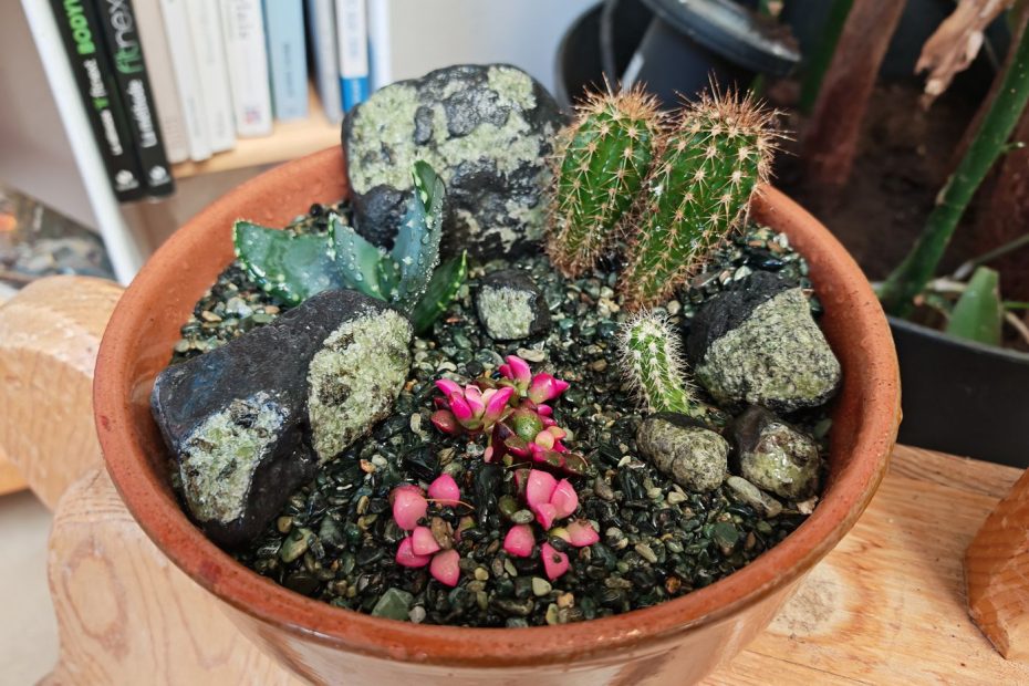 C'est pas jolie ça !