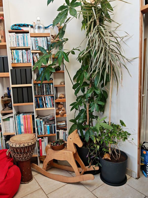 C'est quand même plus classe ! et les plantes ont de la place !