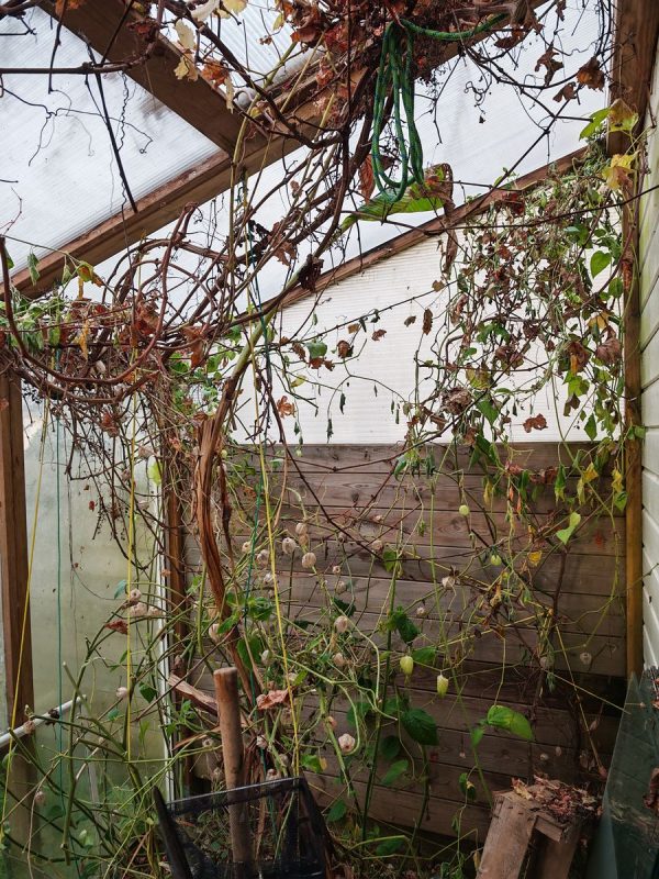 Un peu de ménage grossier