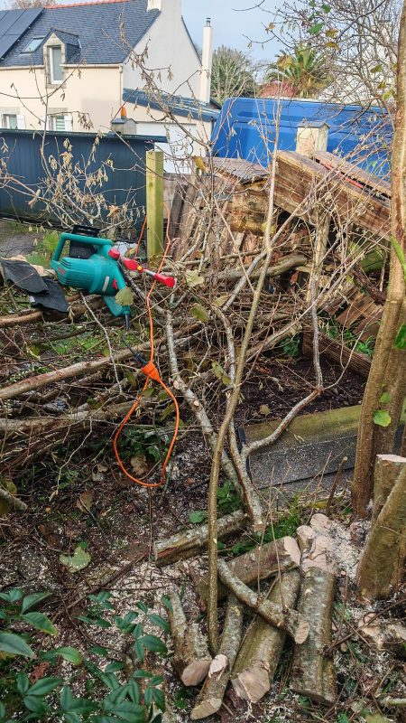 Les branches et troncs posés en attente
