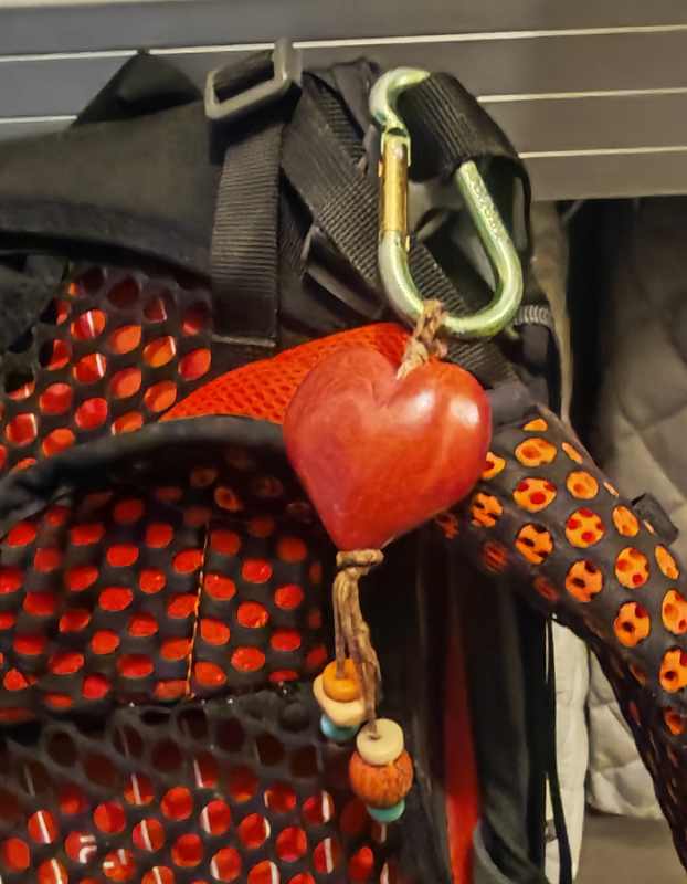 Mon grigri a perdu une branche !