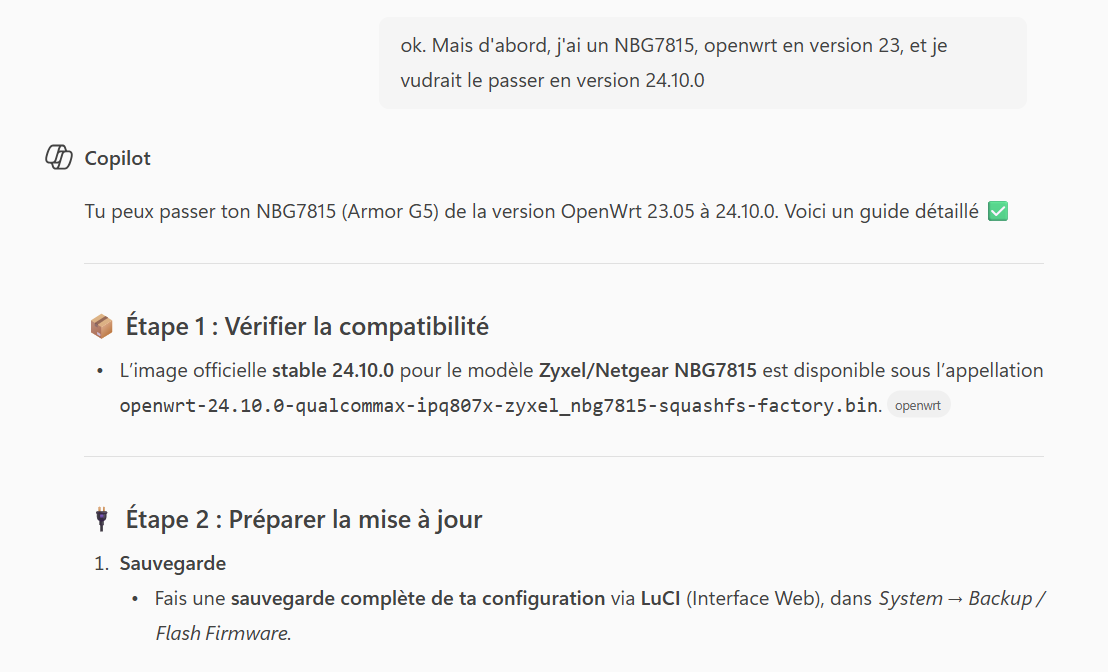Copilote (IA), comment on fait la mise à jours de mon routeur déjà customiser