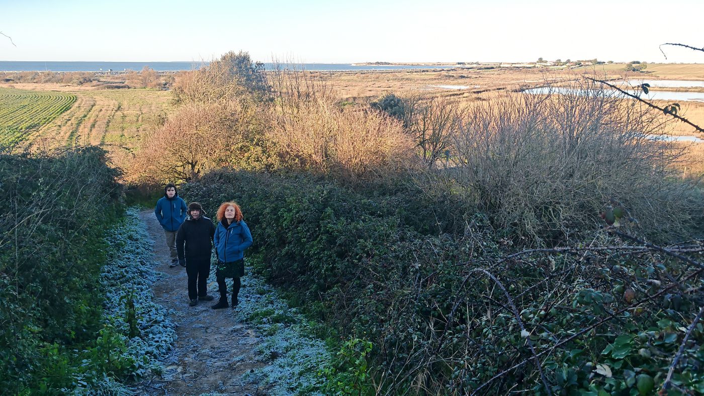 Balade avec Gaëlle, Marcel et Stéphane