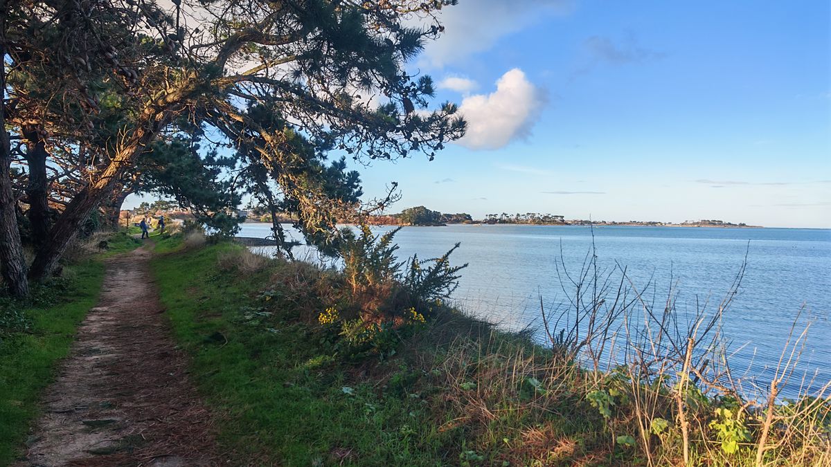 En bout de baie à marée haute