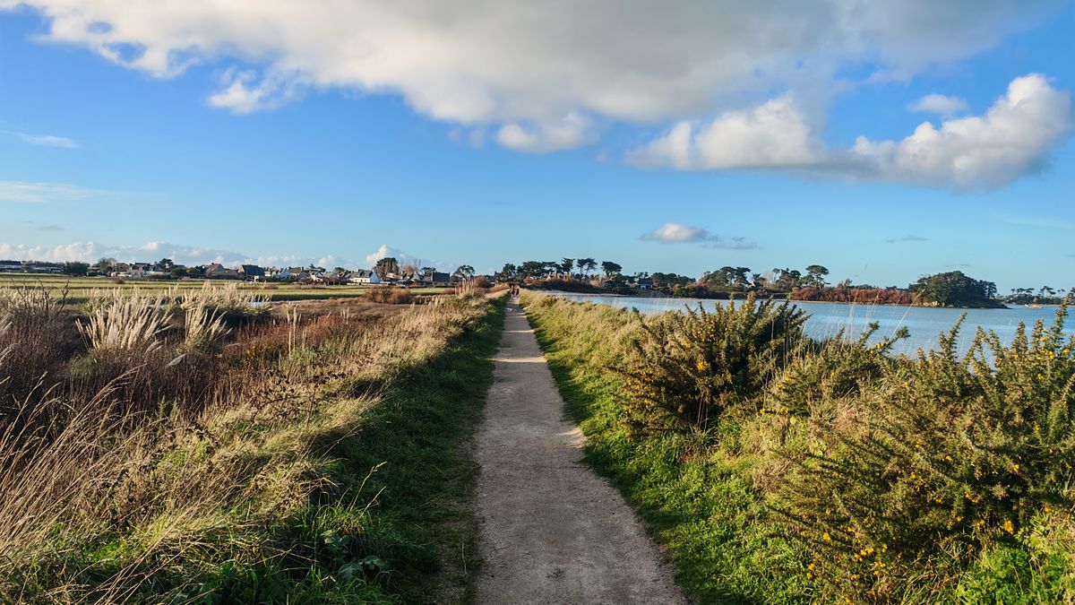 Le sentier entre mer et marais