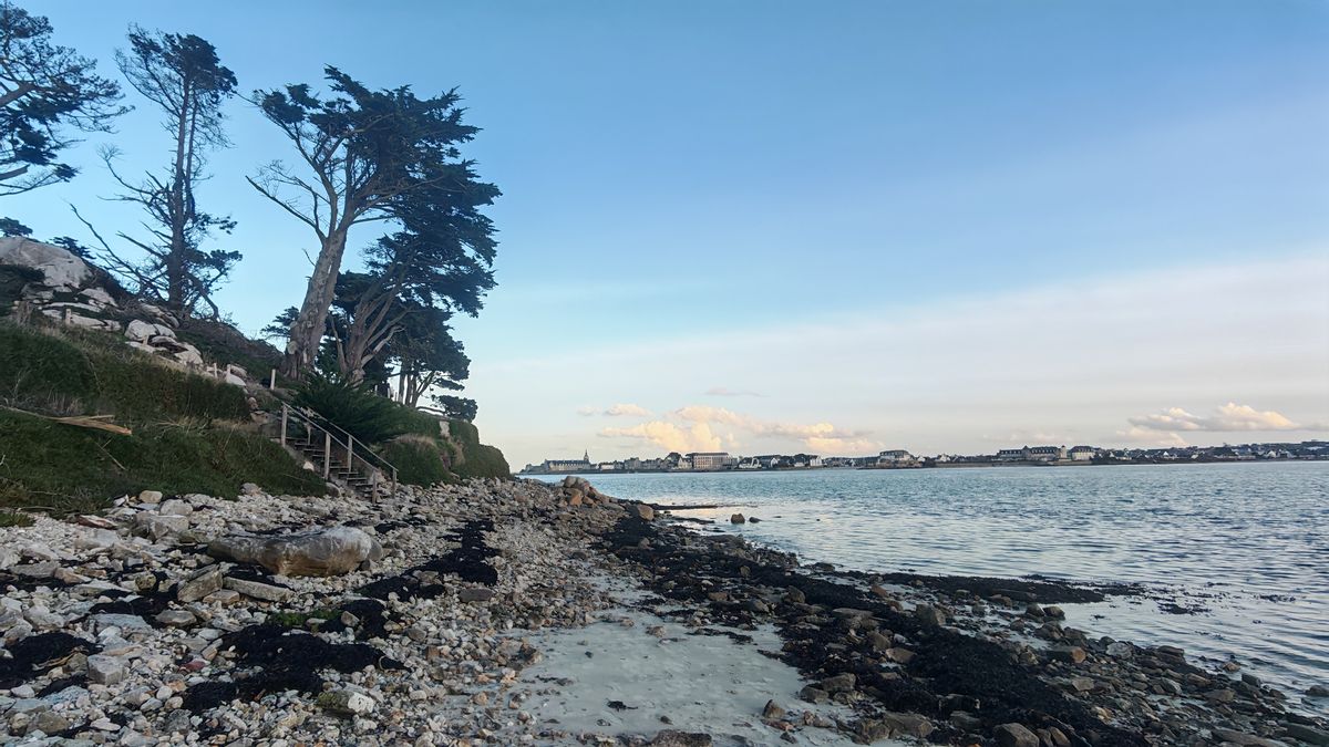 Escalier pour monter