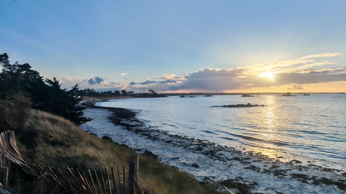 La plage de dune au soleil d'hiver