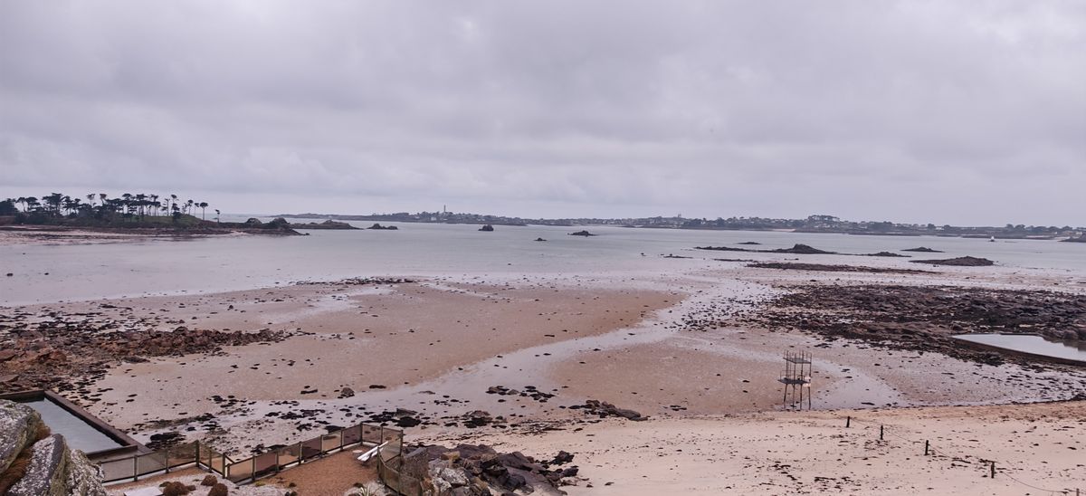 La c'est marrée très basse !