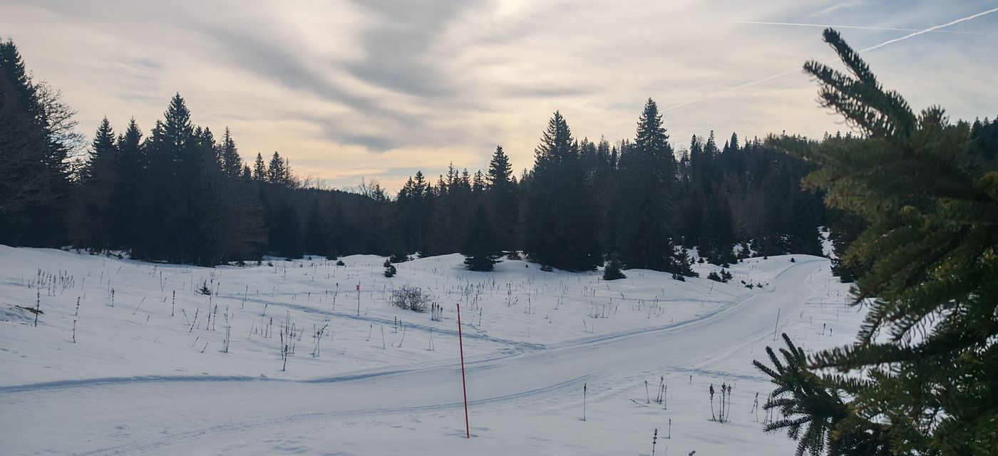 Pause café du matin