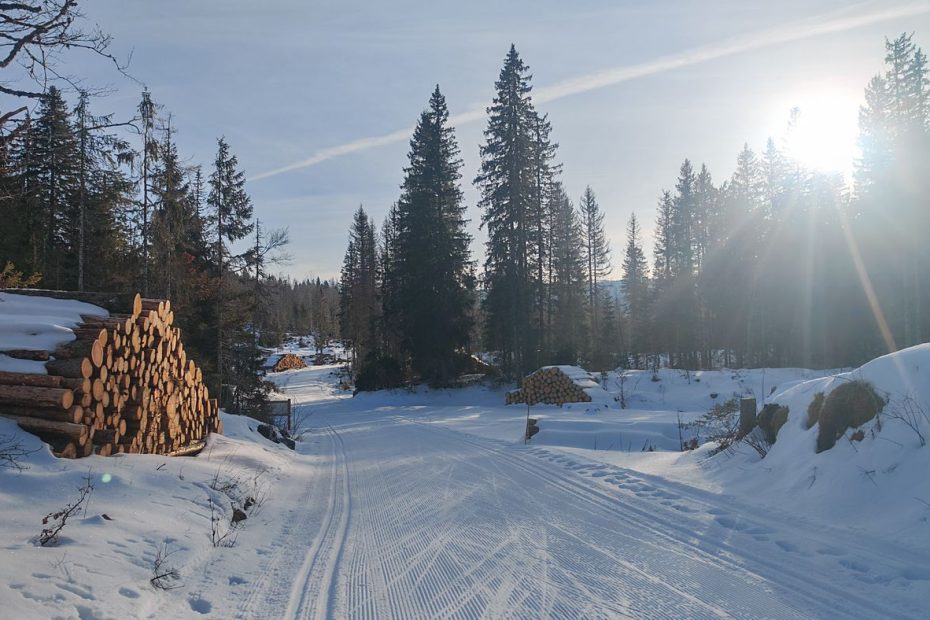 Quoi rêver de mieux ?