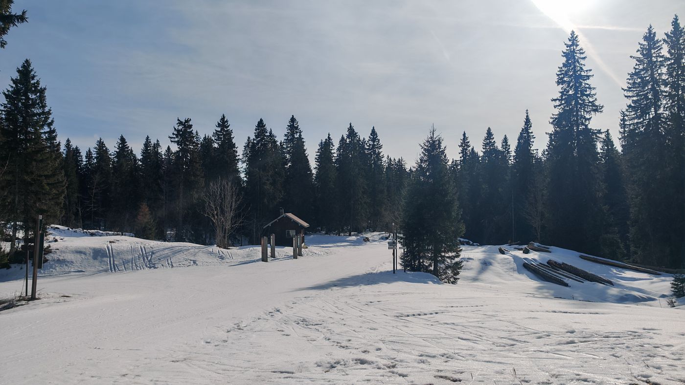 La vue du pique-nique
