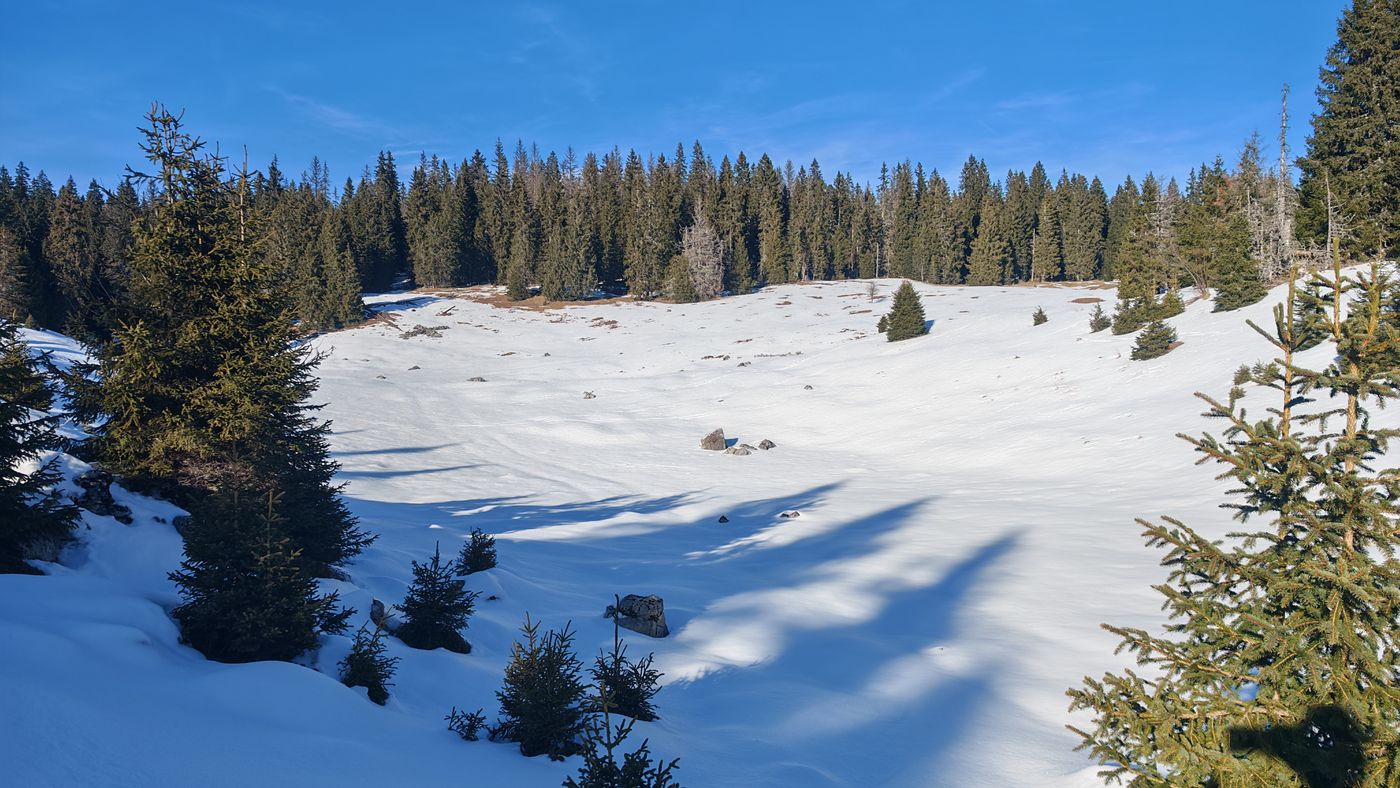 Vaste étendue de neige !