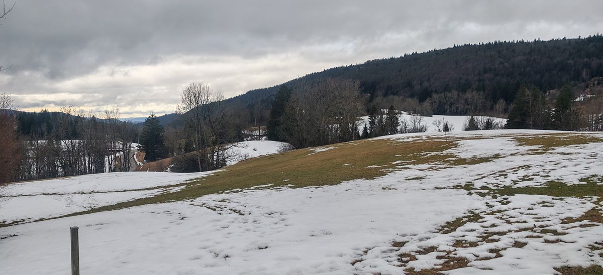 Entre neige et prairie