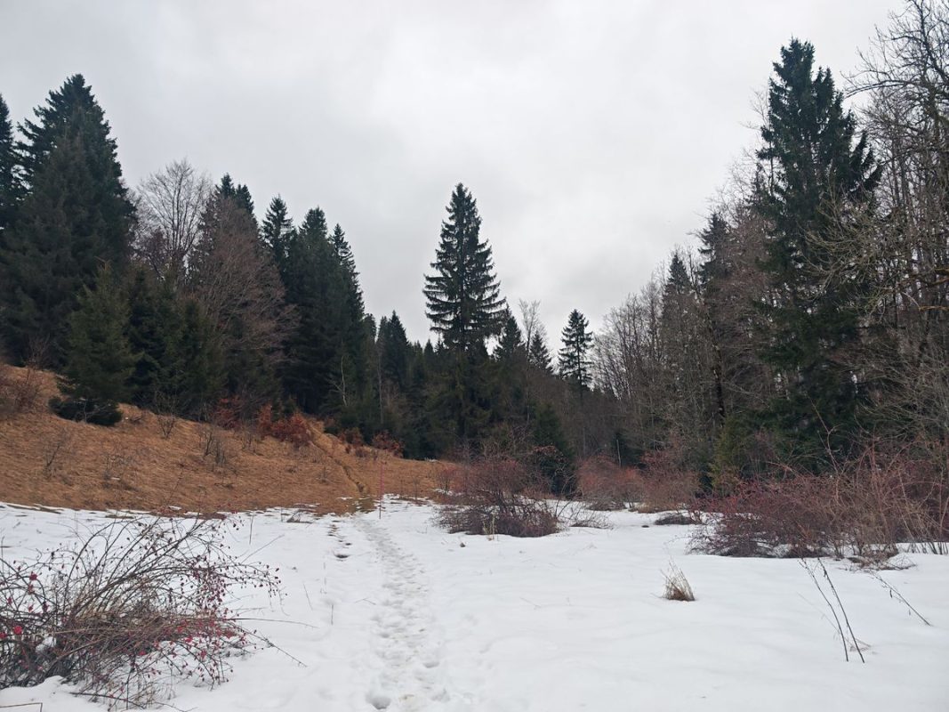 Je prend les raquettes ou pas ?