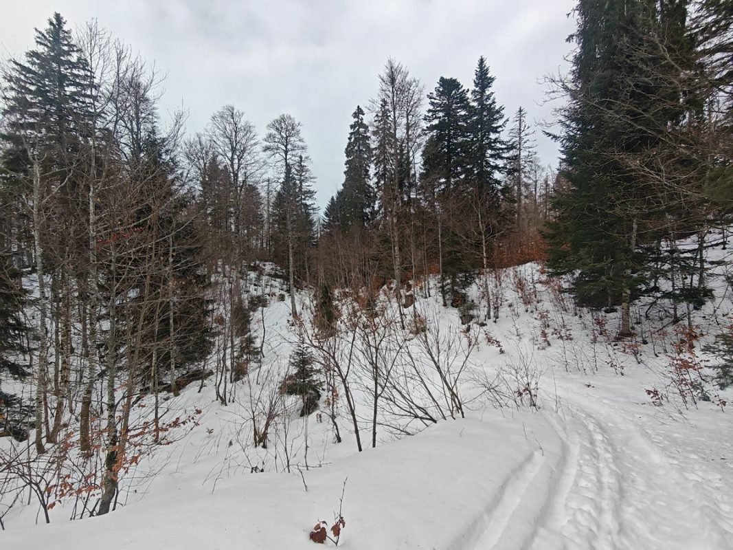 C'est plus engeigné, mais ca passe bien