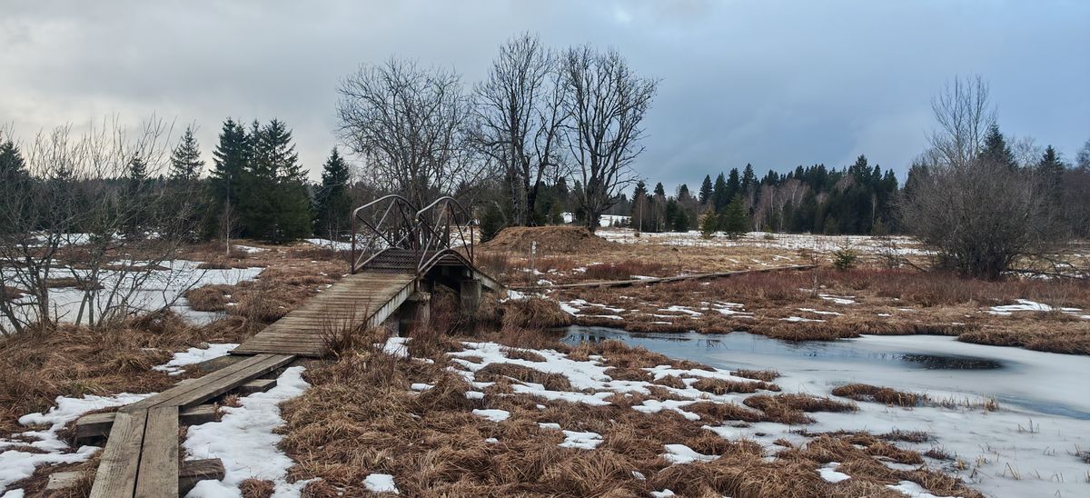 Tourbière et petit pont