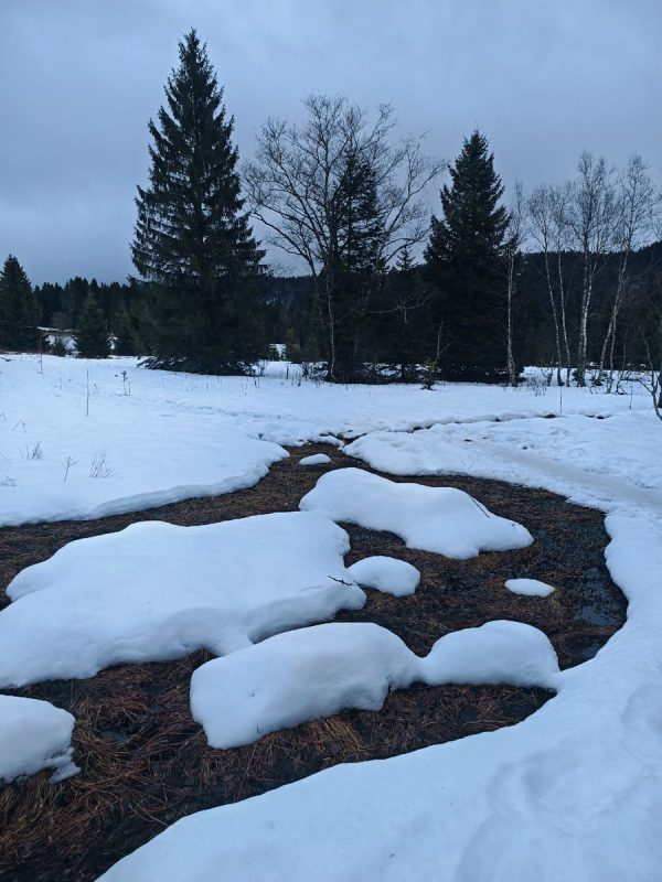 Marrant ces chemin d'eau dans la neige