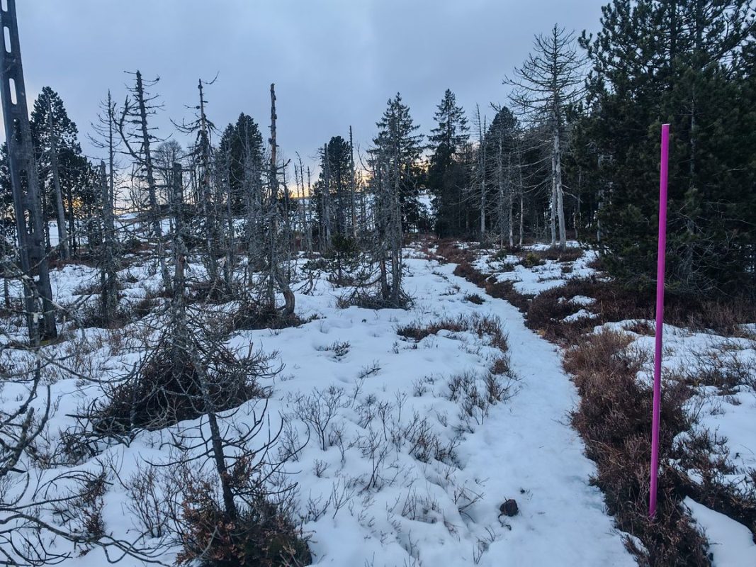 Le sentier passe au milieux de ce paysage