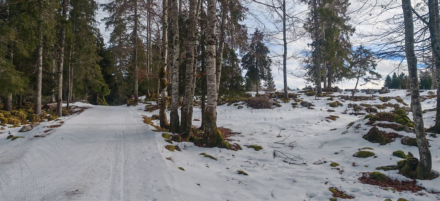 Y'a pas une grosse couche