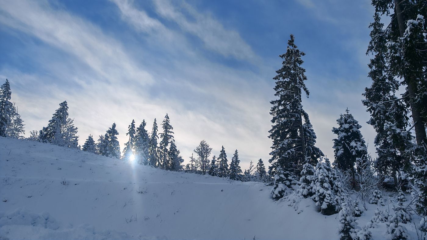 C'est tellement jolie la neige !