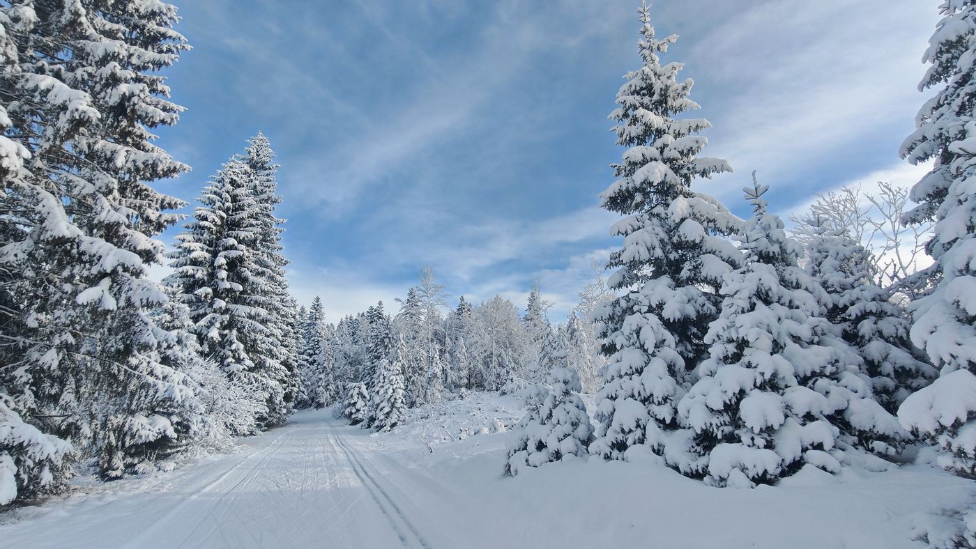 Ski sur les pistes engeignées
