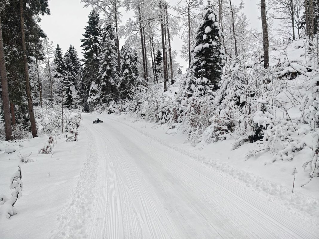 Tiens, mais c'(est quoi ce sac a dos qui bouge tout seul ?
