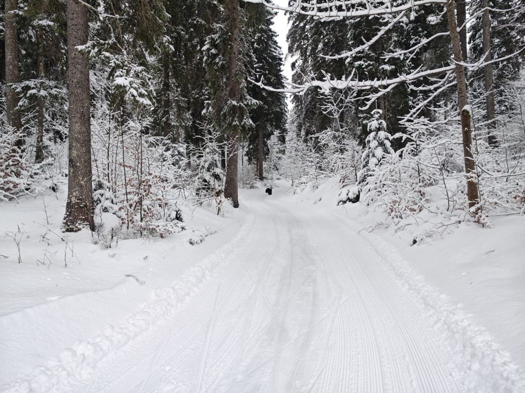 Même au loin, il me poursuit !