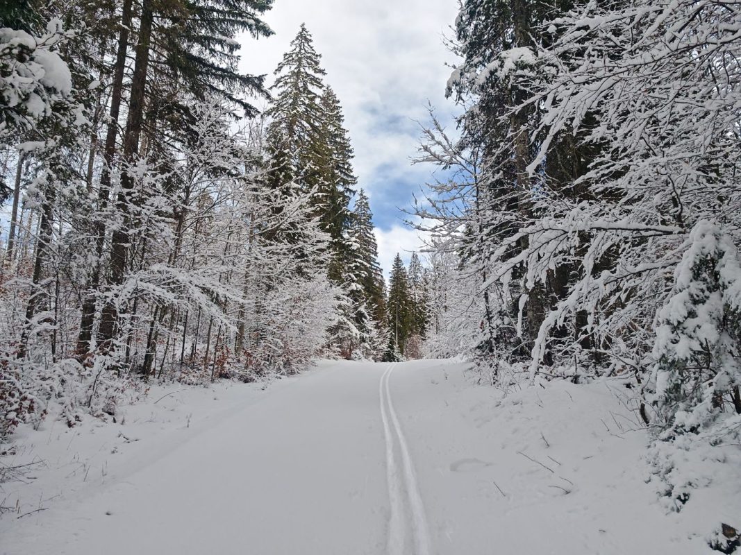 La piste quand il y a encore une trace 'artisanal'