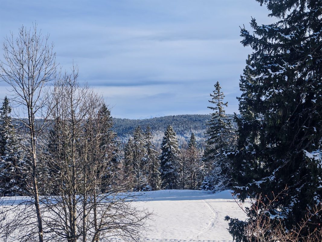 Au loin, on devine une montagne. Le mont Blanc ?