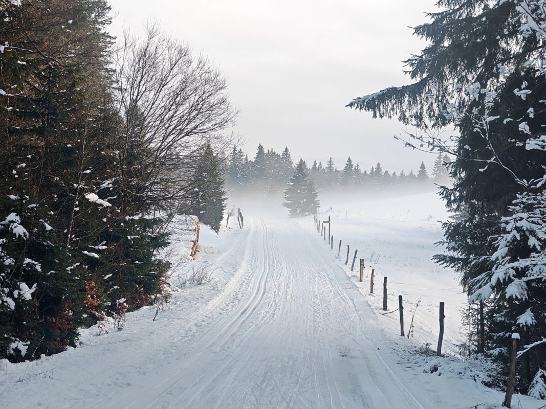 La brume enveloppe la piste