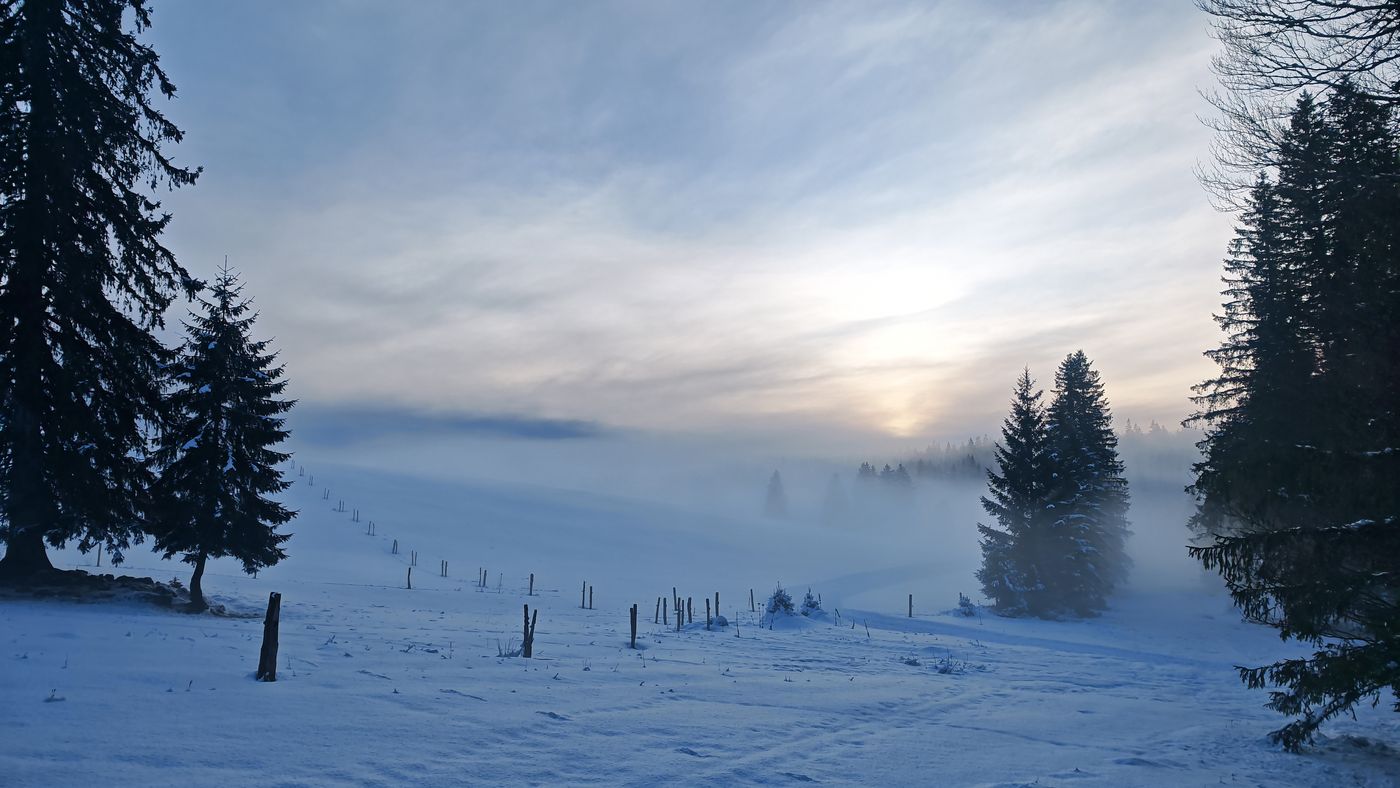 Le soleil perce encore à travers la brume basse