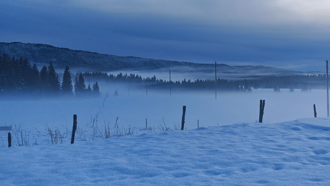 Les nuages enveloppent la forêt