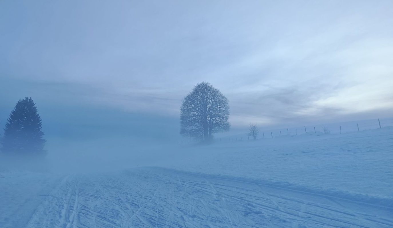 Celle là il fallait être au bon moment pour la faire !