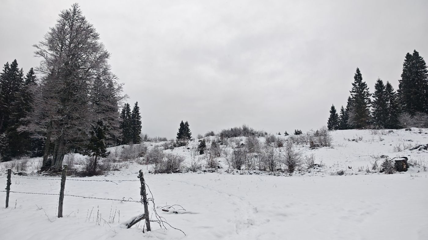 Encore un paysage bien enneigé