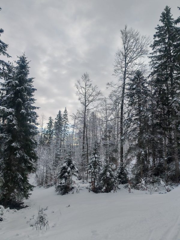 Nuances de sombre et de blanc