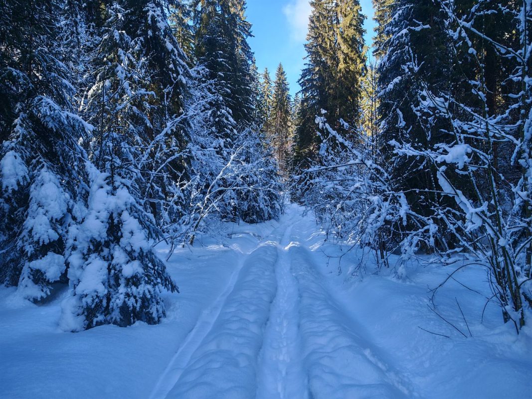 Là je retrace une piste