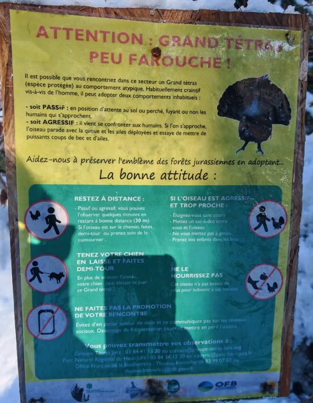 Panneau sur le grand Tetra