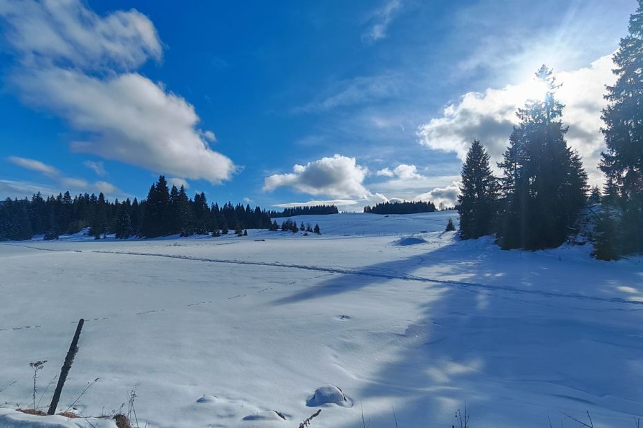 C'est chouette ce ciel bleu