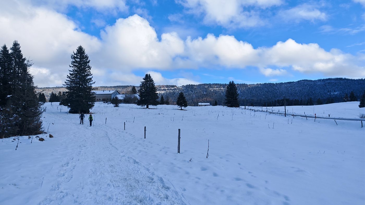 C'est chouette ce ciel bleu