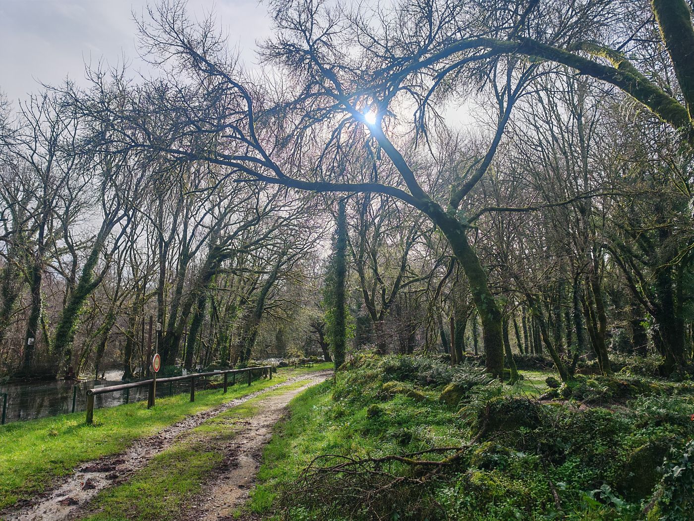 Y'a une jolie balade visiblement