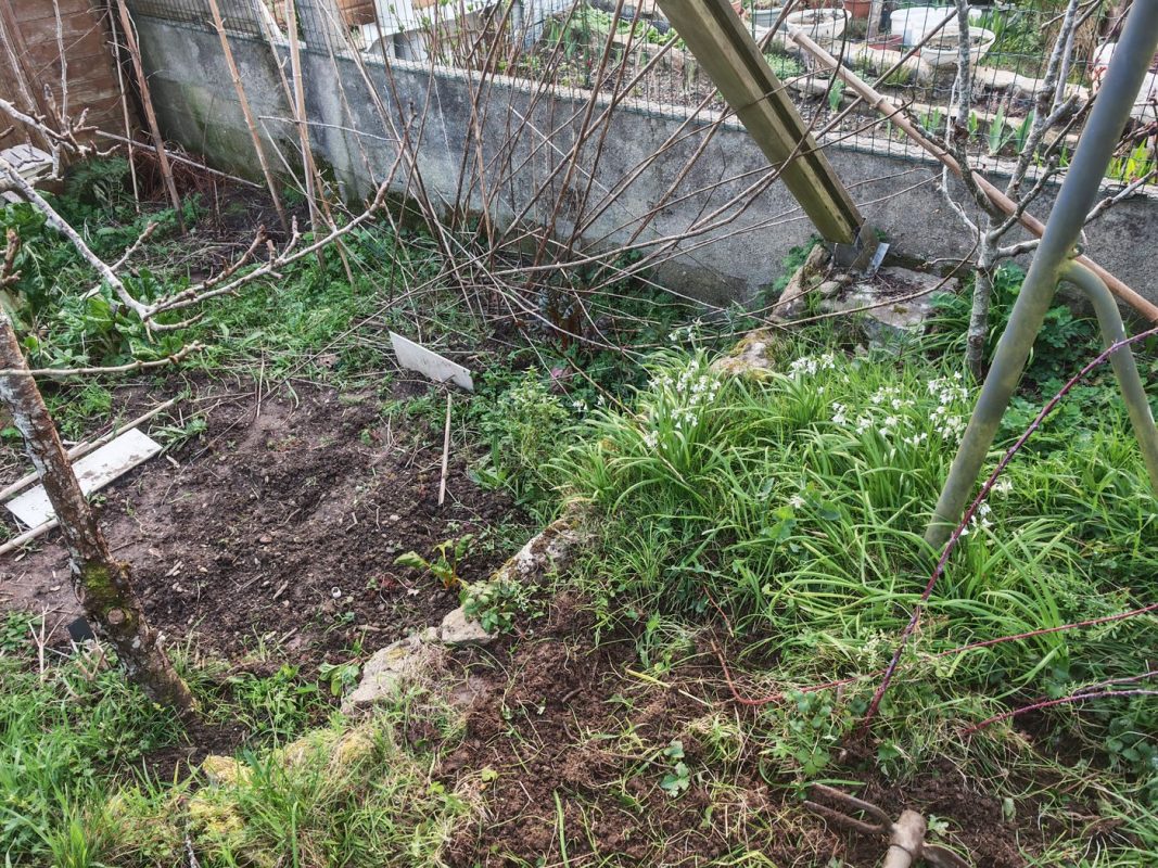 Mars : Toujours l'arrachage de l'ail triquètre.