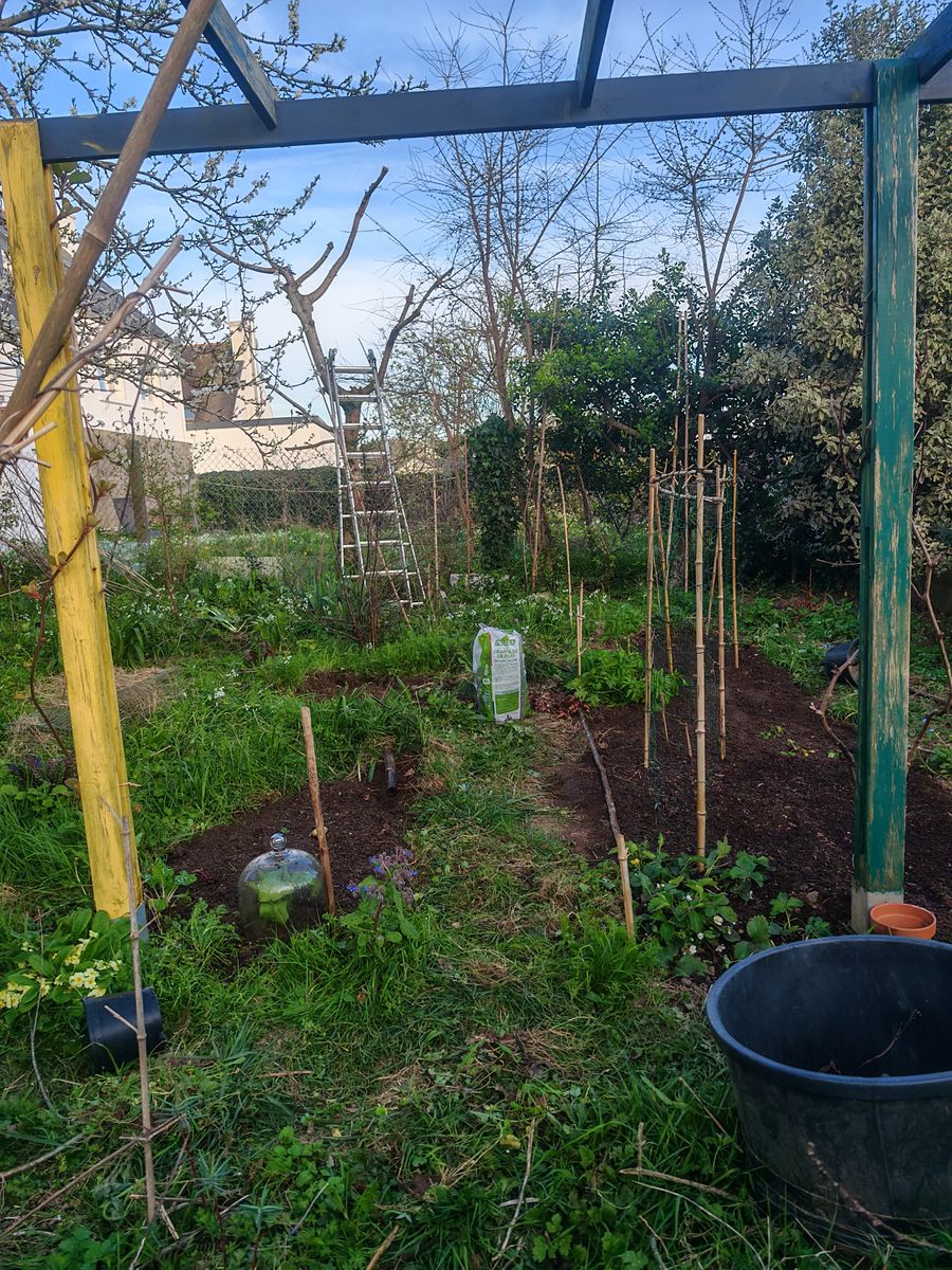 Les planches du potager renaissent !